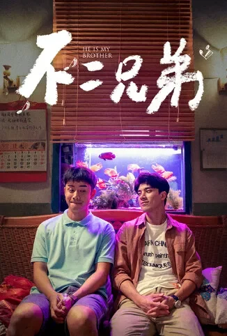 不二兄弟电影海报