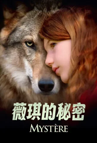 薇琪的秘密电影海报
