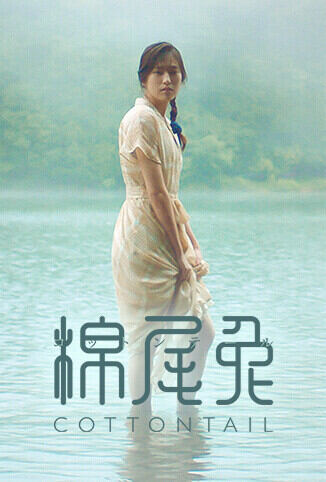 棉尾兔