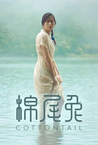 棉尾兔电影海报