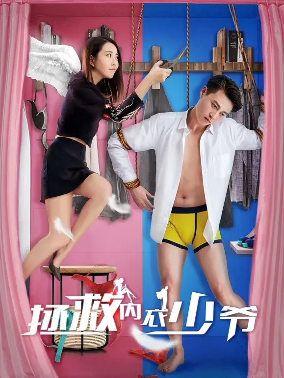 拯救内衣少爷电影海报