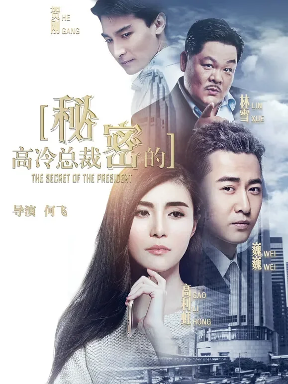 高冷总裁的秘密电影海报