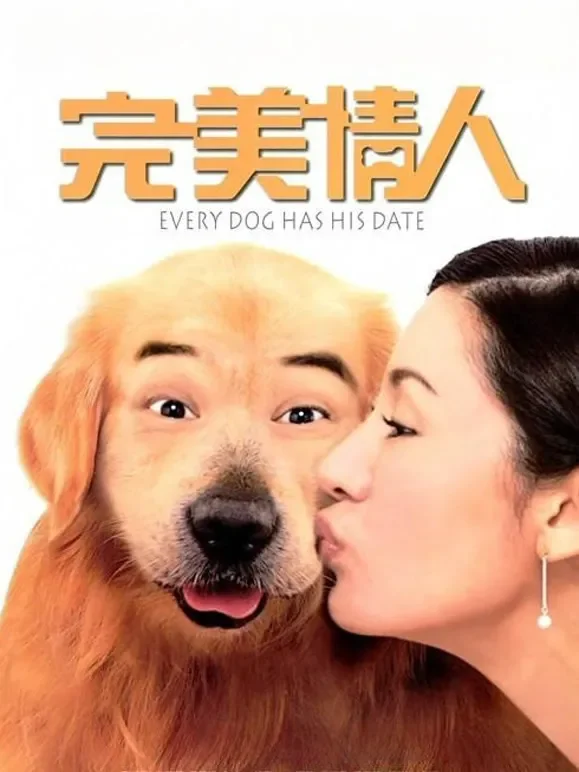 完美情人电影海报