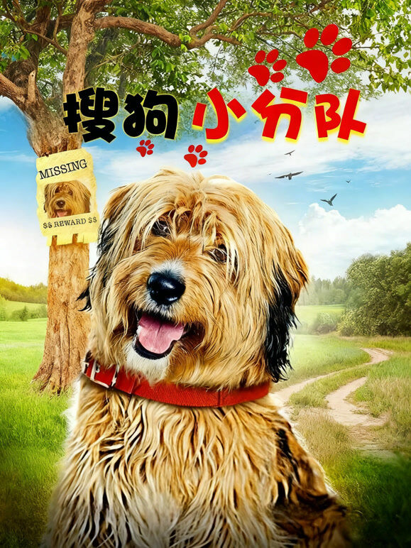 搜狗小分队