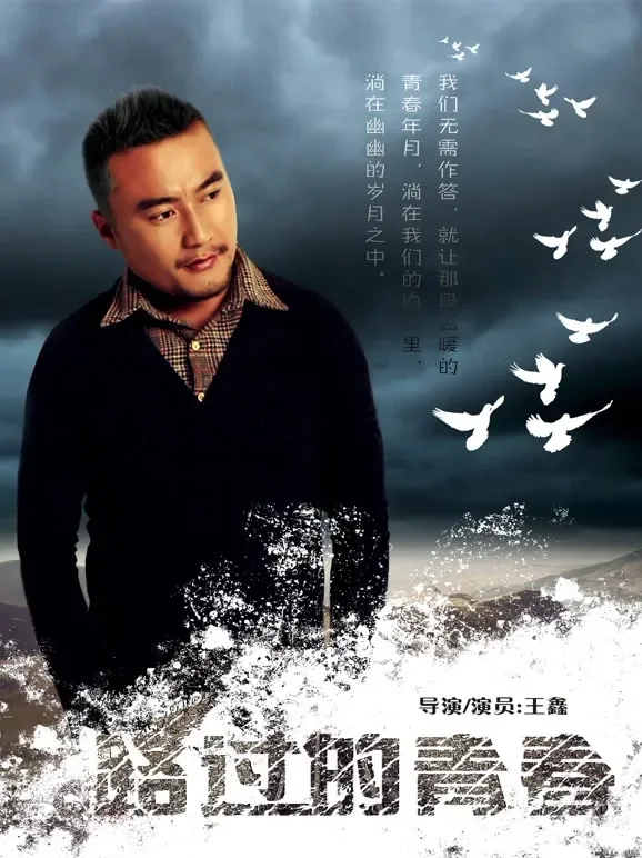 路过的青春电影海报