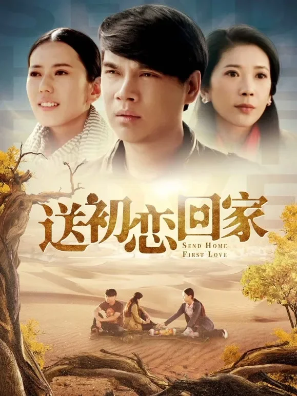 送初恋回家电影海报