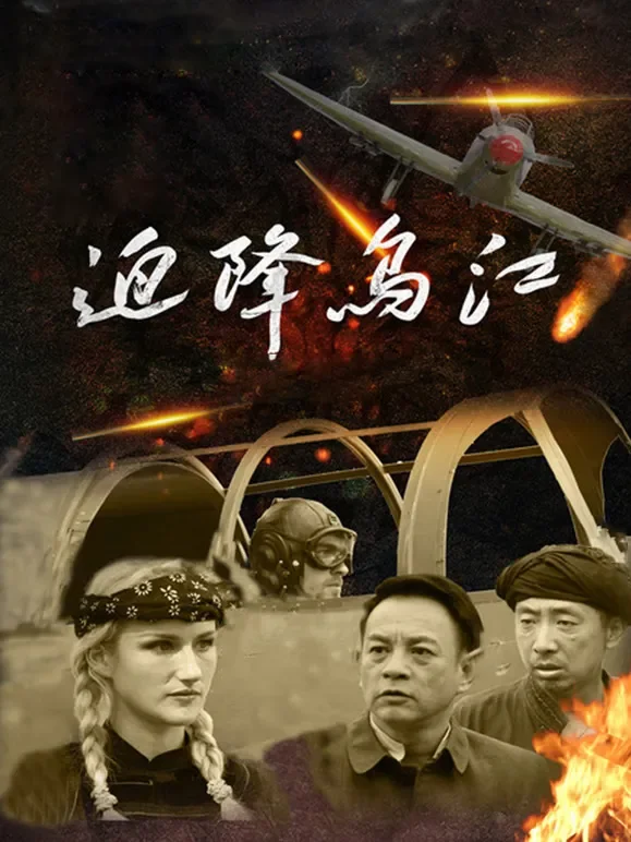 迫降乌江电影海报