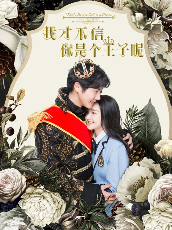 我才不信你是个王子呢电影海报