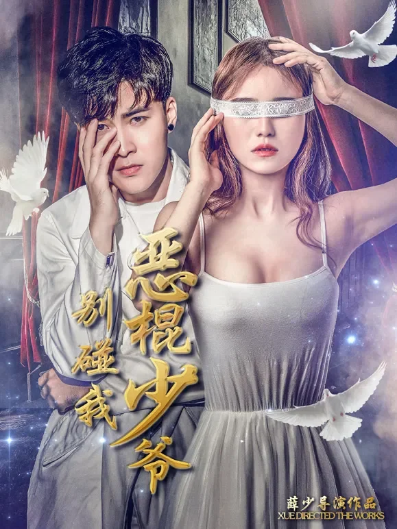 恶棍少爷别碰我电影海报