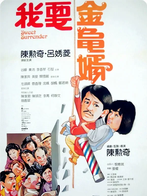 我要金龟婿电影海报
