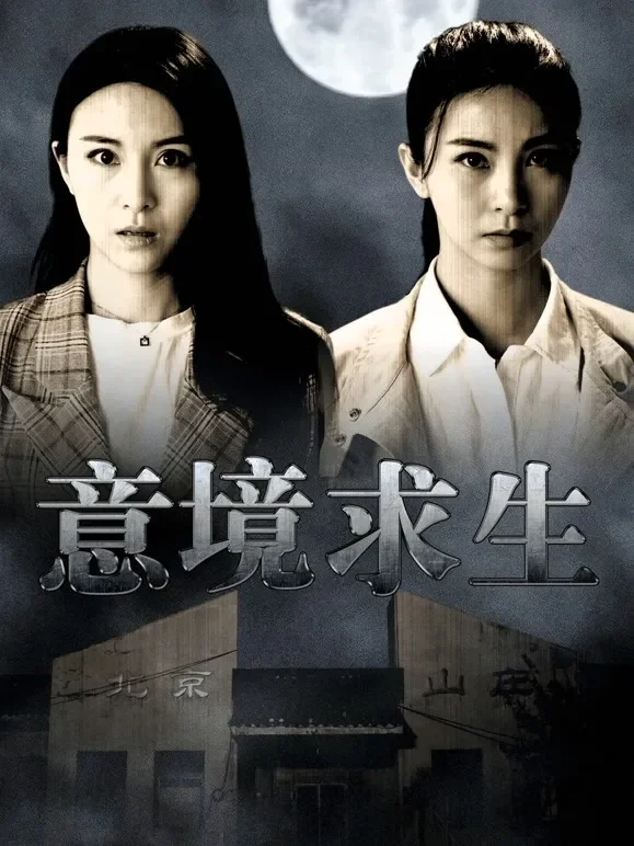 意境求生电影海报