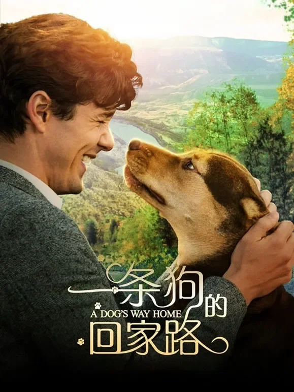 一条狗的回家路电影海报