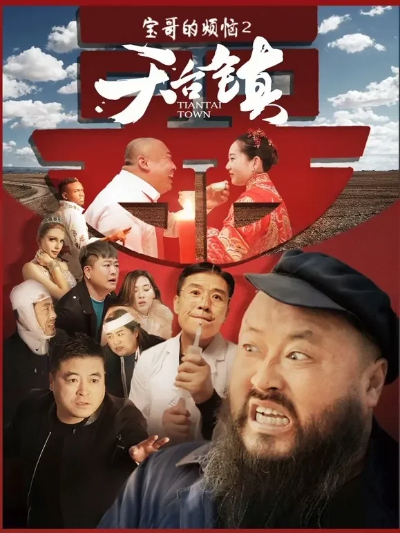 天台镇电影海报
