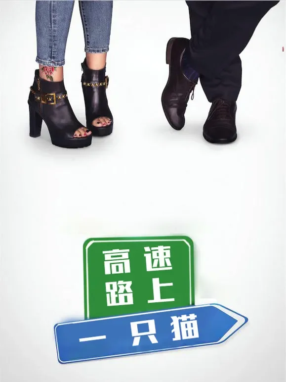 高速路上一只猫电影海报
