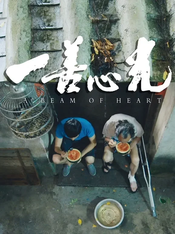 一善心光电影海报