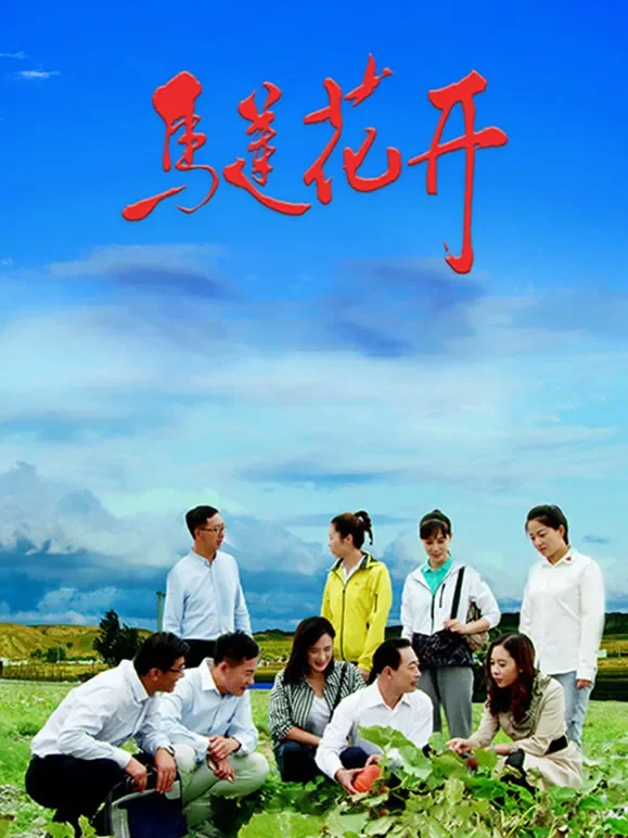 马莲花开电影海报