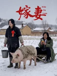 嫁妻电影海报