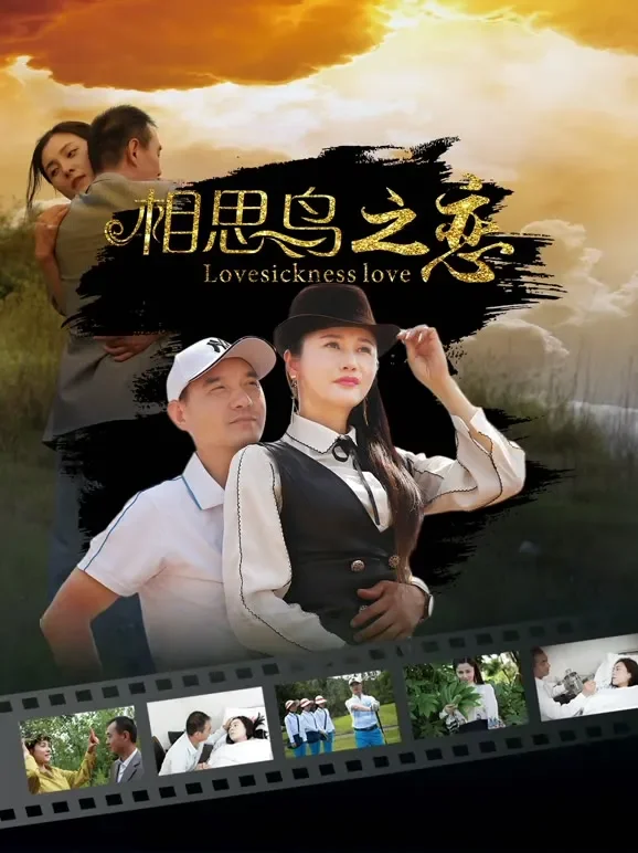 相思鸟之恋电影海报