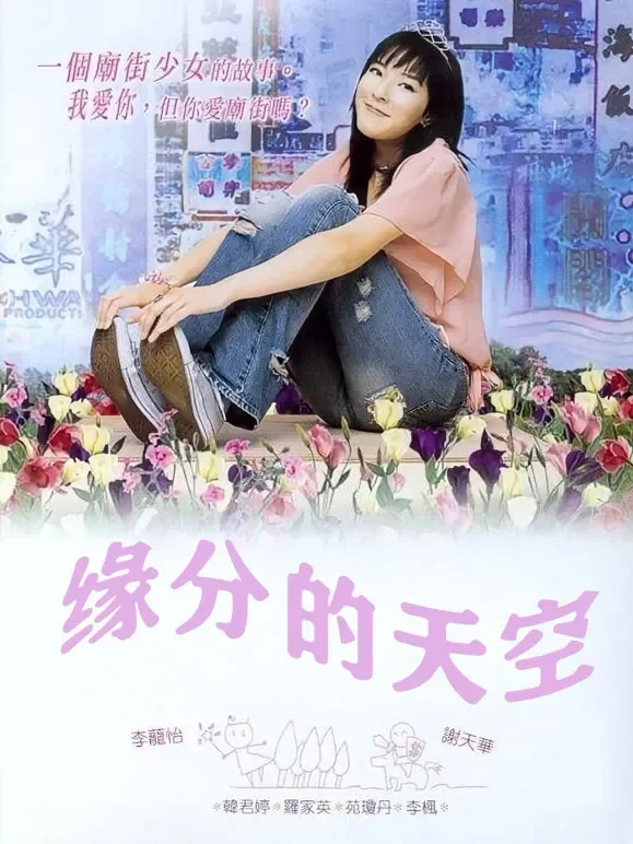 缘分的天空电影海报
