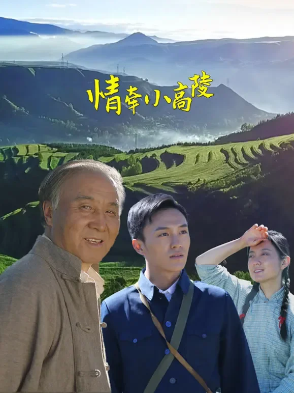 情牵小高陵电影海报