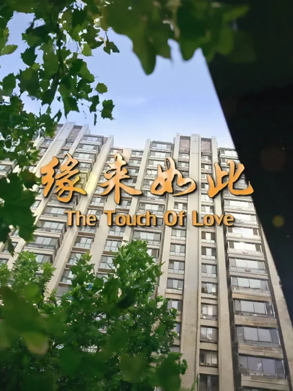 缘来如此（2017）电影海报