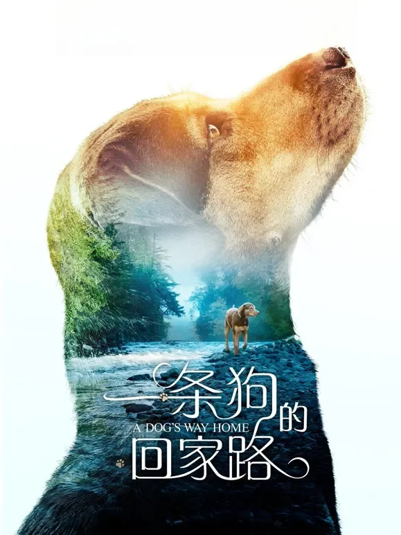 一条狗的回家路（普通话）电影海报