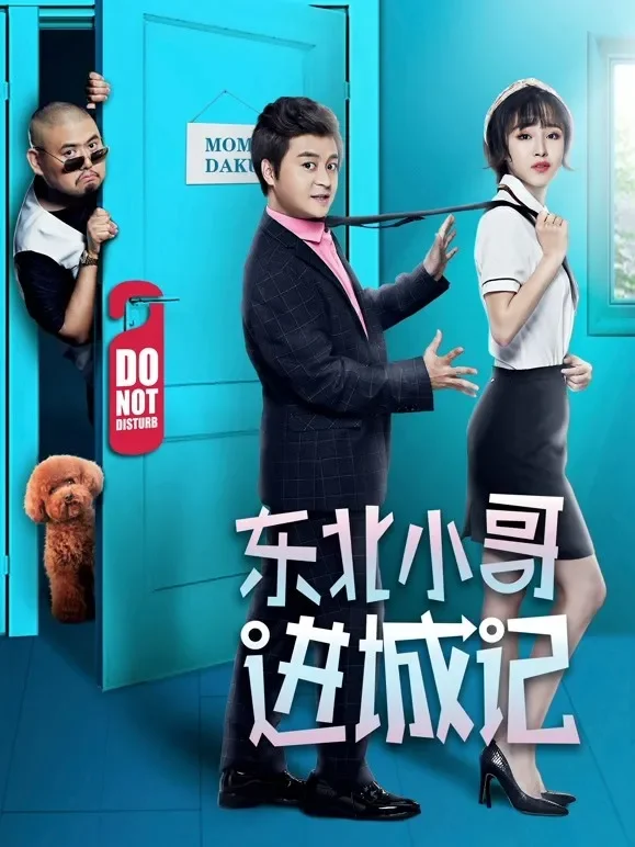 东北小哥进城记电影海报