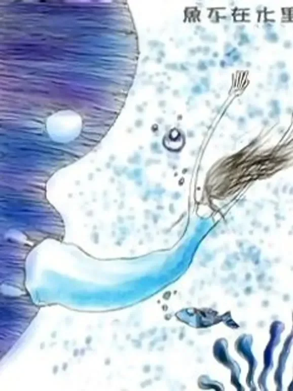 鱼不在水里电影海报