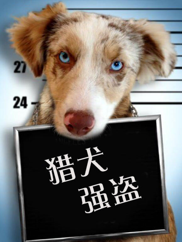 猎犬强盗