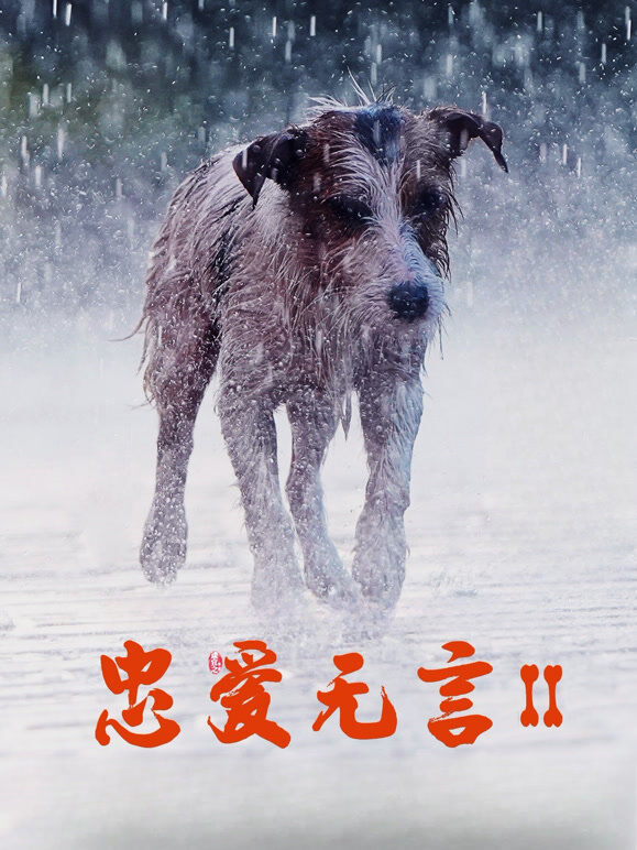 忠爱无言2