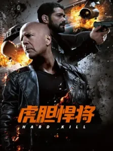 虎胆悍将（普通话）电影海报