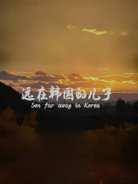 远在韩国的儿子电影海报