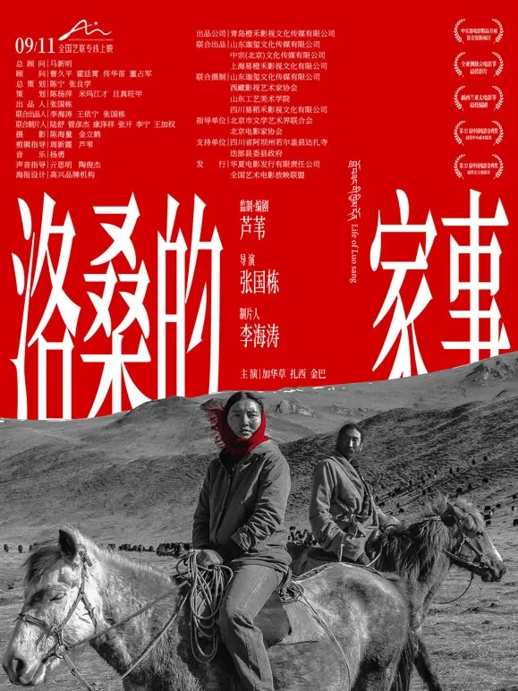 洛桑的家事电影海报