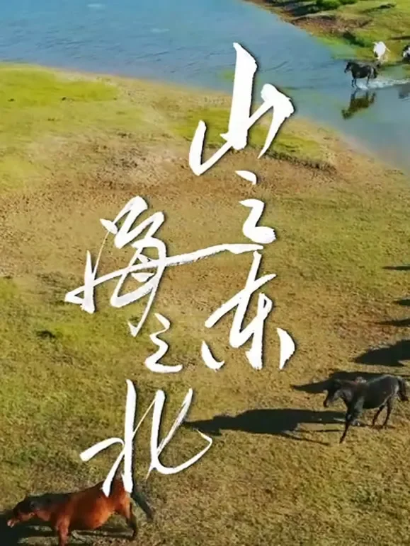 山之东，海之北电影海报
