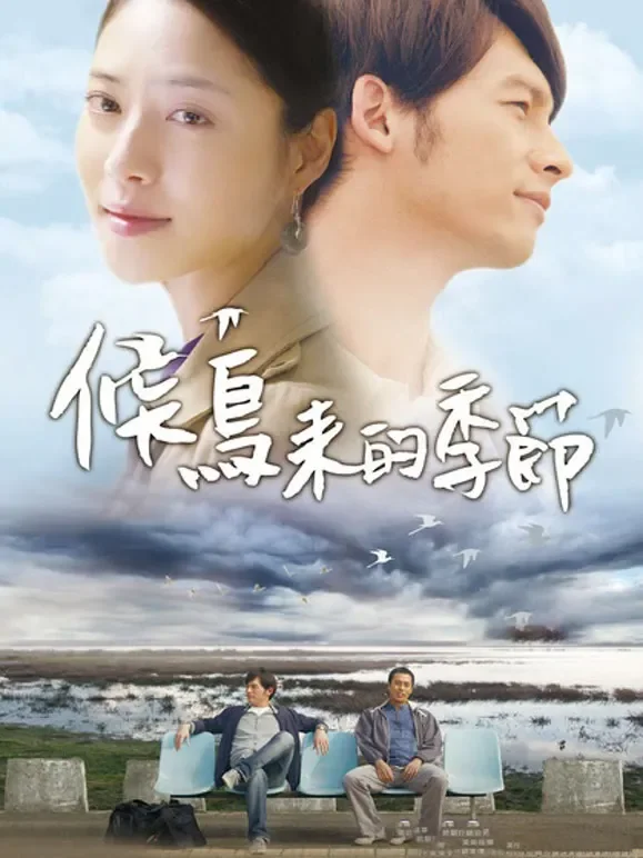 候鸟来的季节电影海报