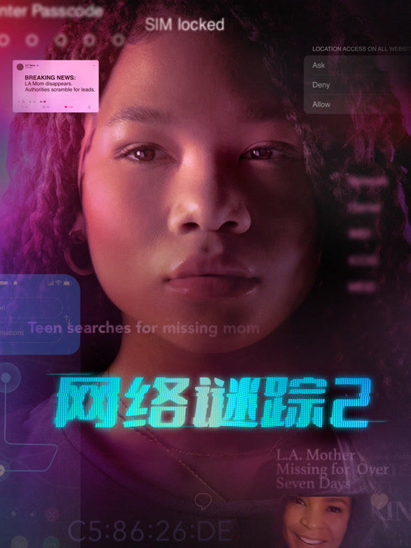 网络谜踪2（普通话）