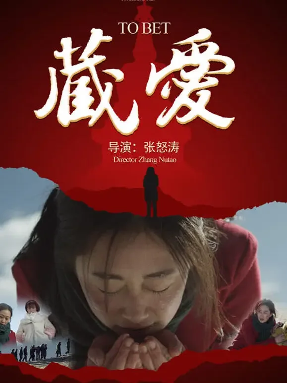 藏·爱电影海报