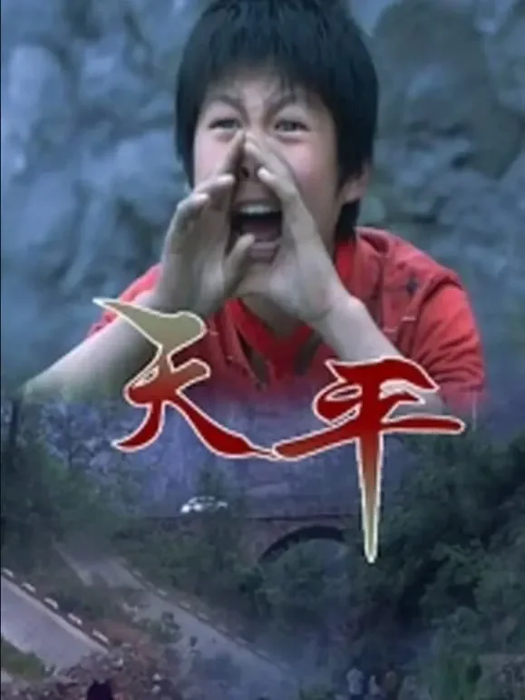 天平电影海报