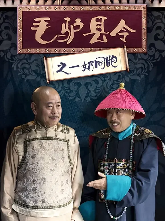 毛驴县令之一奶同胞电影海报