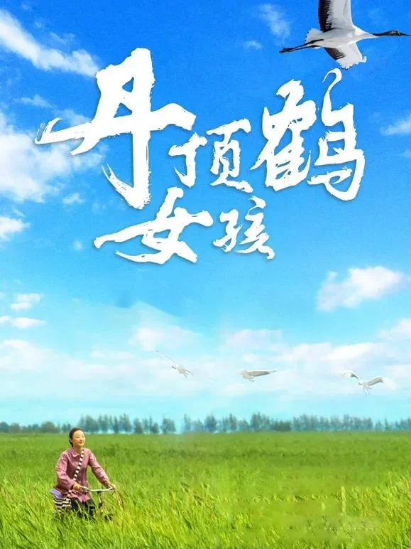 丹顶鹤女孩电影海报