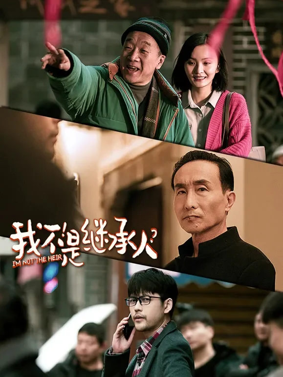 我不是继承人电影海报