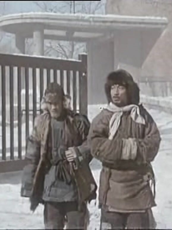 万木春
