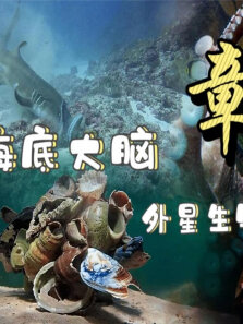 海底脑王，一起来看看外星生物，章鱼惊人的智商