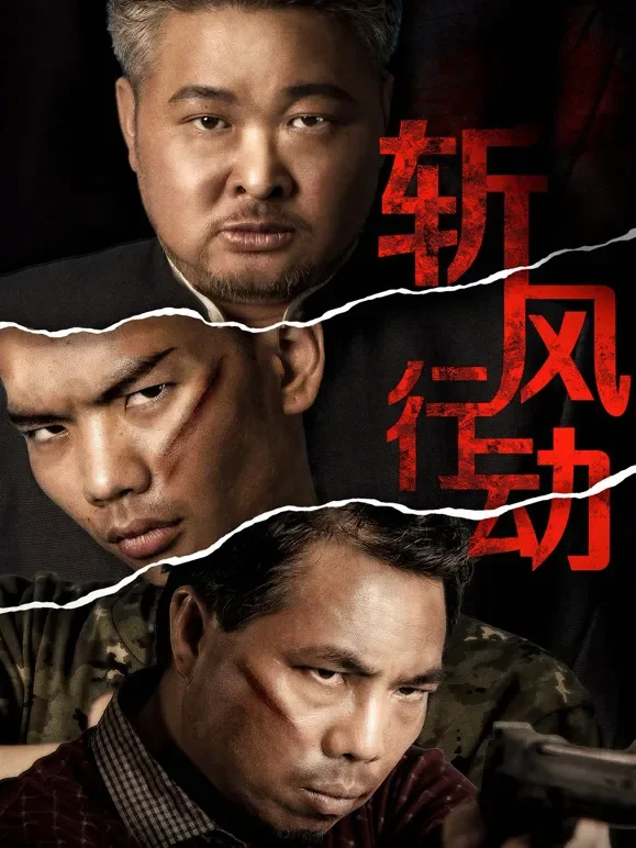 斩风行动电影海报