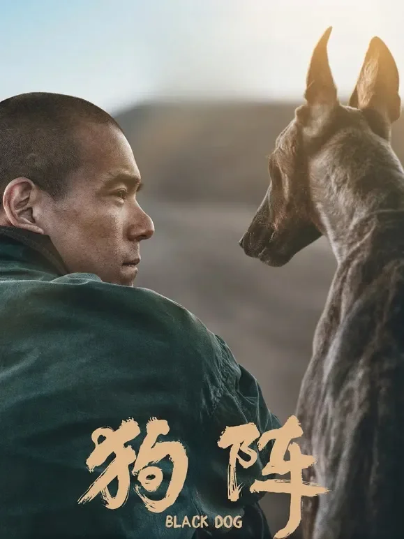 狗阵电影海报