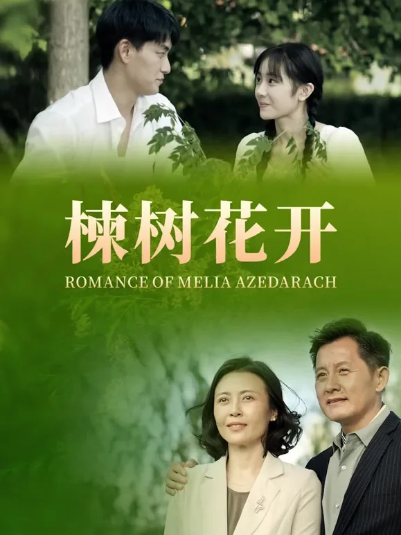 楝树花开电影海报