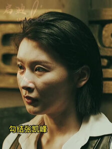 矫健的身手，谍影重重，不一般的动作片（24）