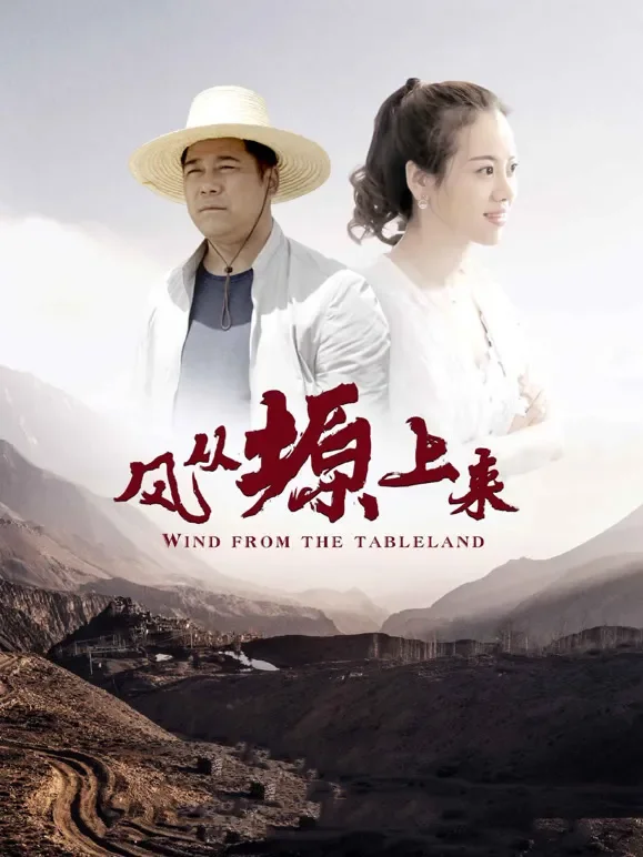 风从塬上来电影海报
