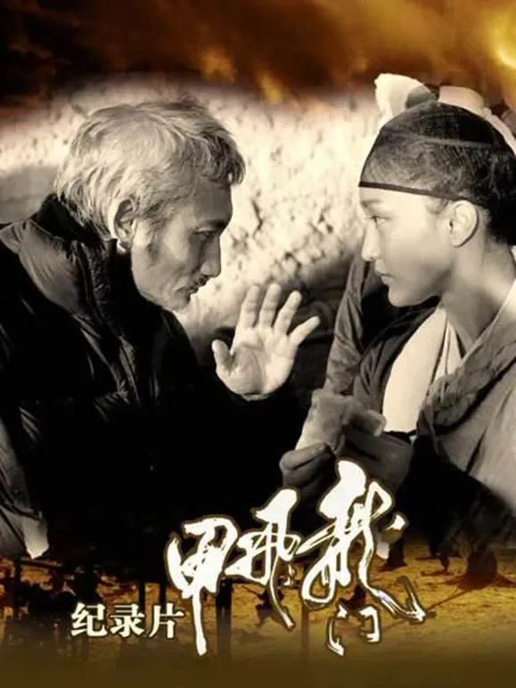 龙门飞甲纪录片电影海报