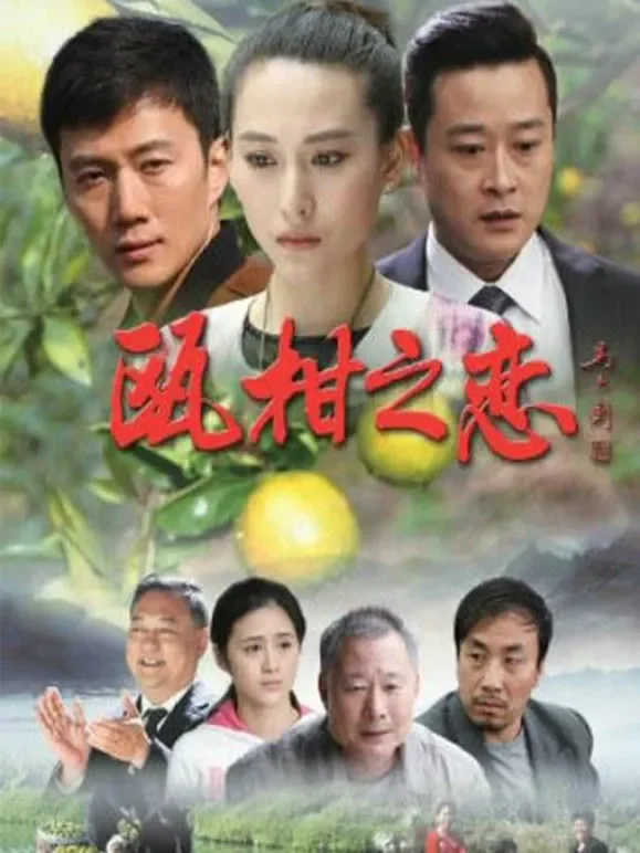 瓯柑之恋电影海报